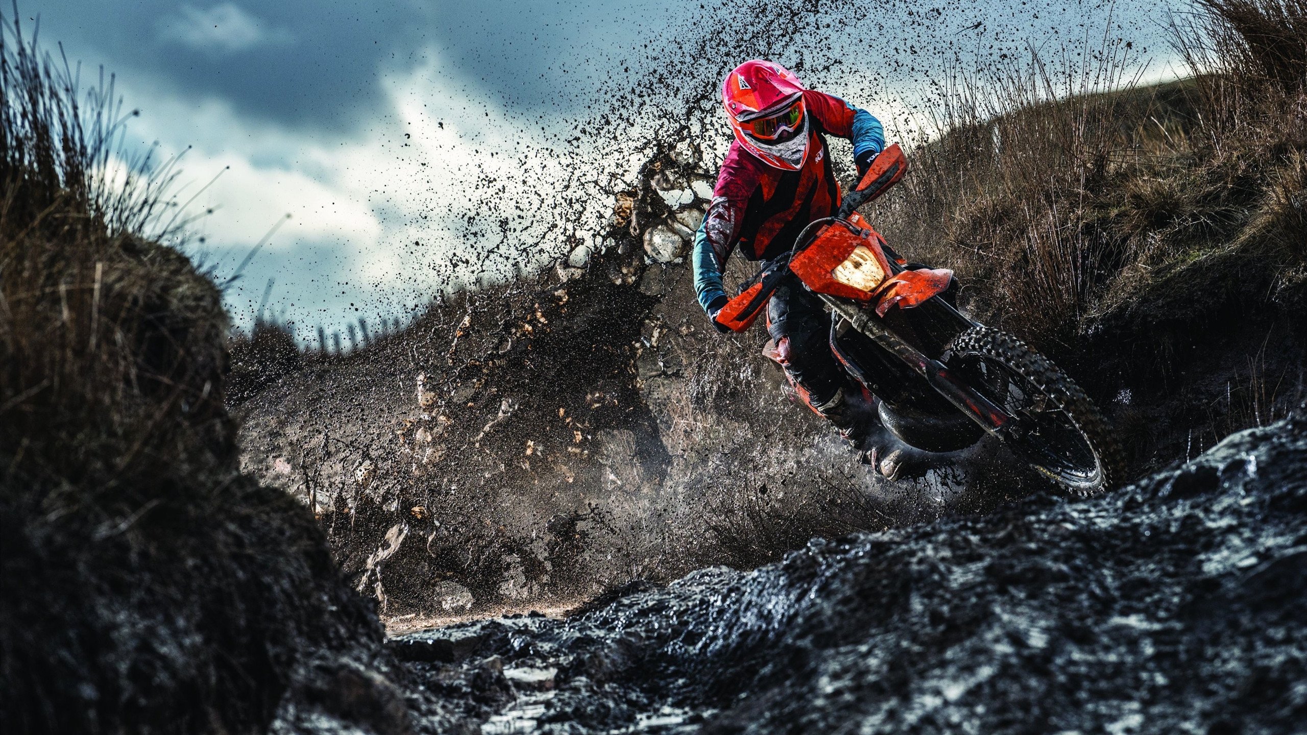 字母哥在焦点战证明自己，深圳队完胜鹈鹕